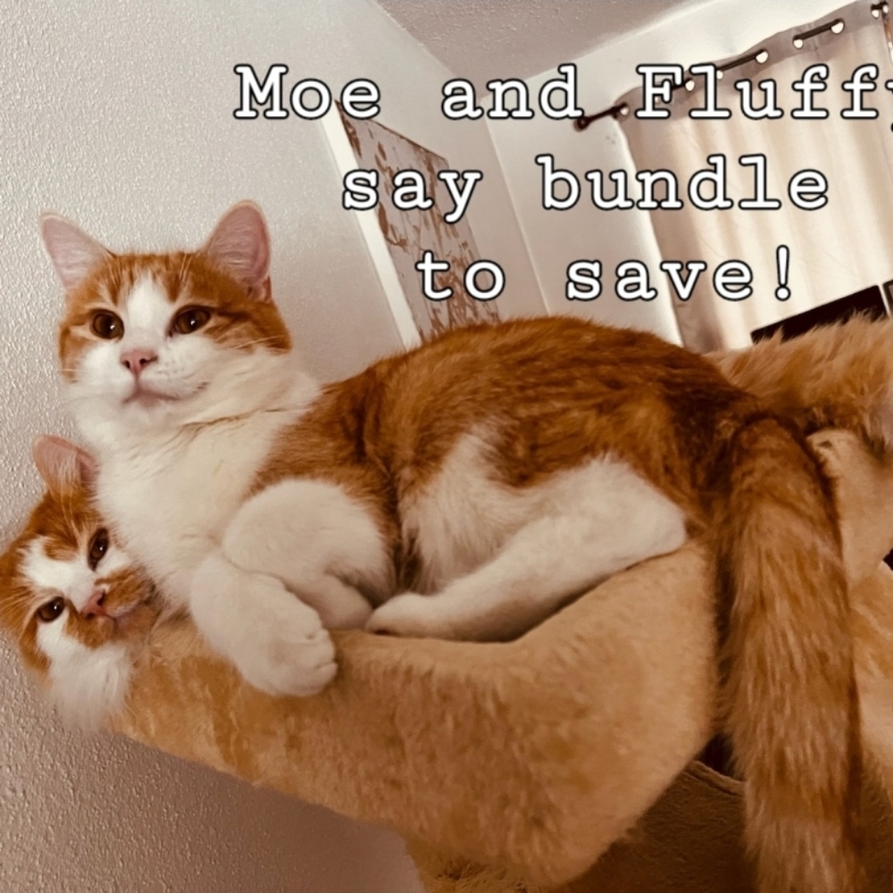 Bundle to Save!! Offers welcomed.